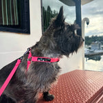 PNW Dry Harness
