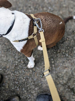 PXL_20240110_183458028.PORTRAIT