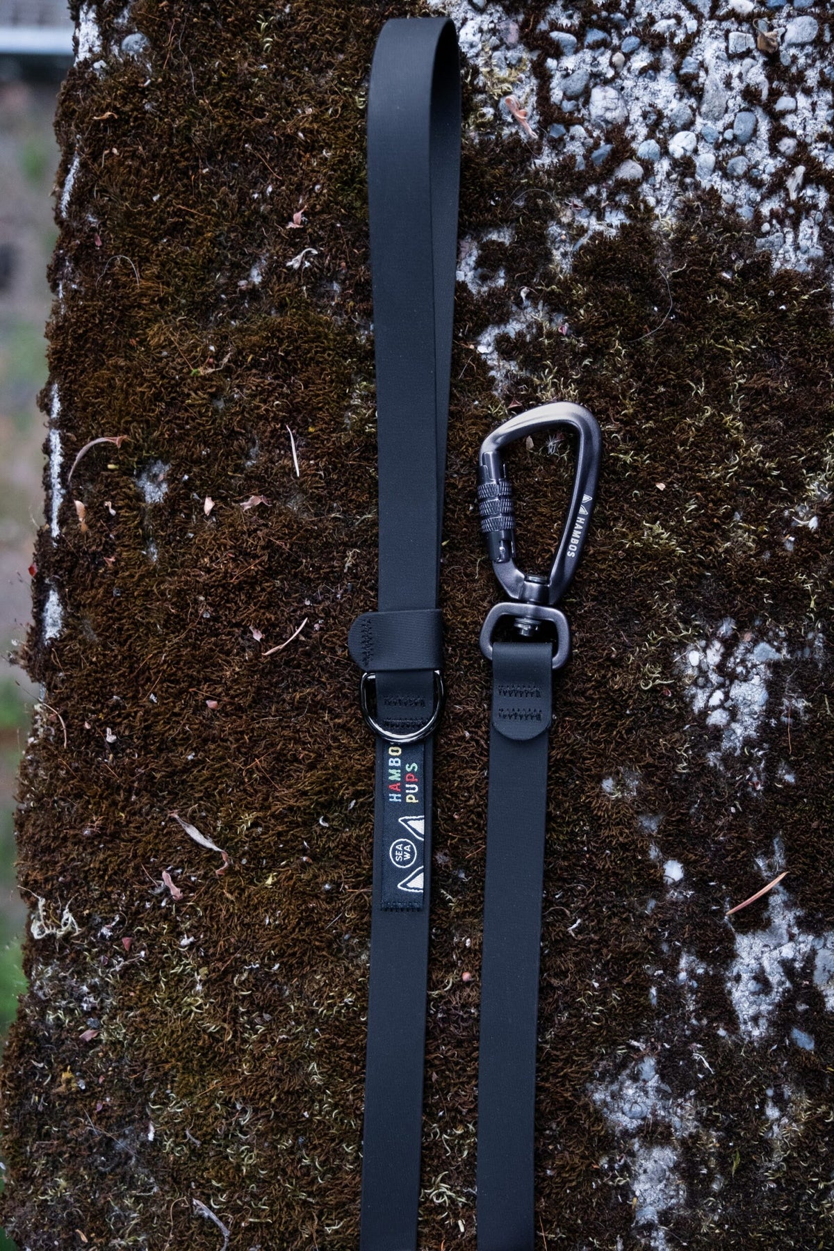Coal Biothane leash with auto-locking carabiner on a mossy rock