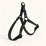 PNW Dry Harness in Coal Biothane with black hardware, studio shot