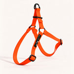 PNW Dry Harness in Hunter Orange Biothane with black hardware, studio shot