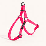 PNW Dry Harness in Max Pink Biothane with black hardware and the Hambos Pups label, studio shot