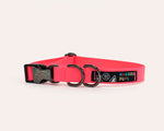 max-pink-collar