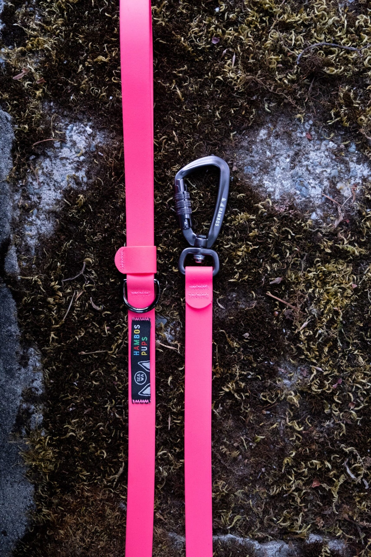 pink-smaller_DSF9107