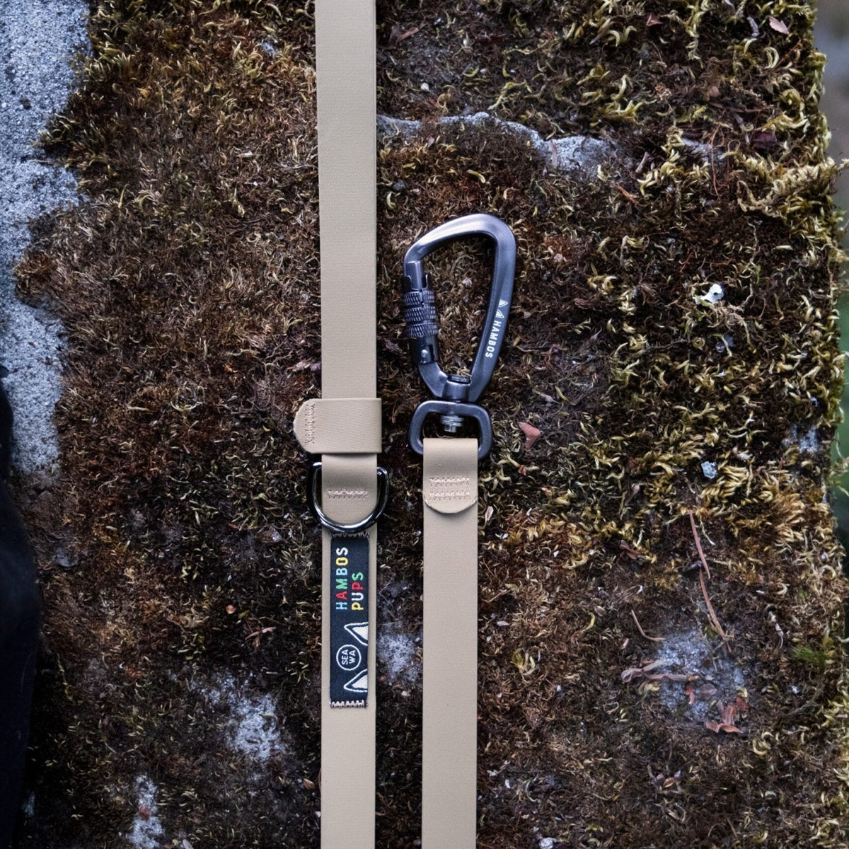 toast—small_DSF9087