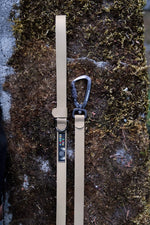 toast—small_DSF9087