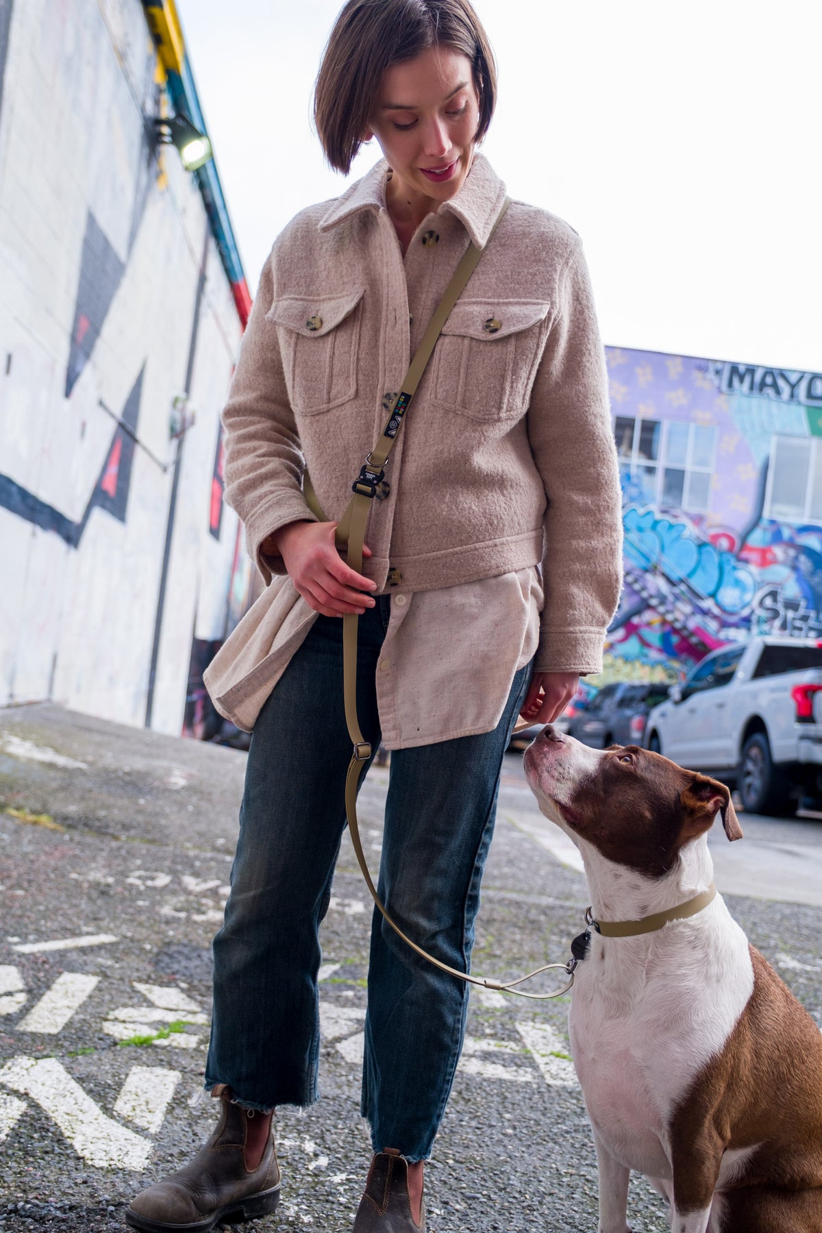A leash on moss with the carabiner visible