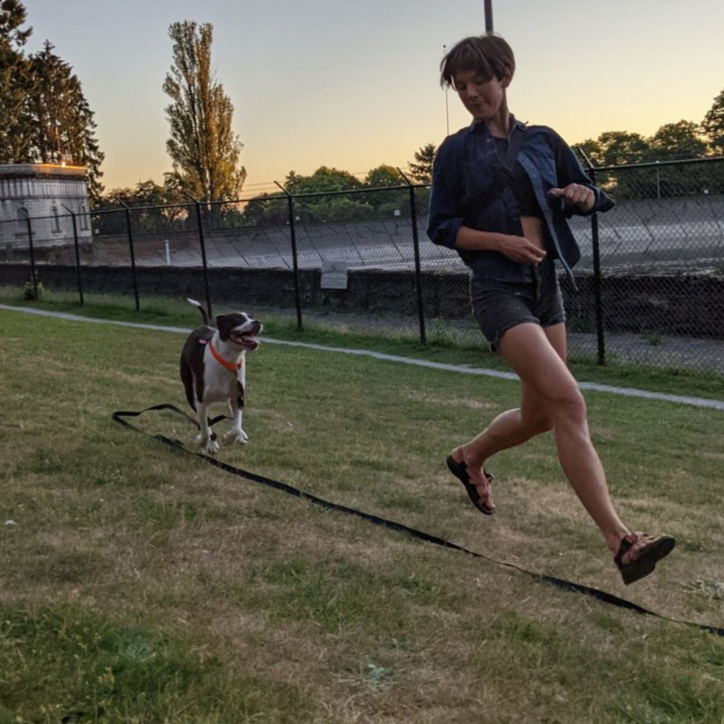 Woman running across a grass field with her dog on a long drag line at sunset
