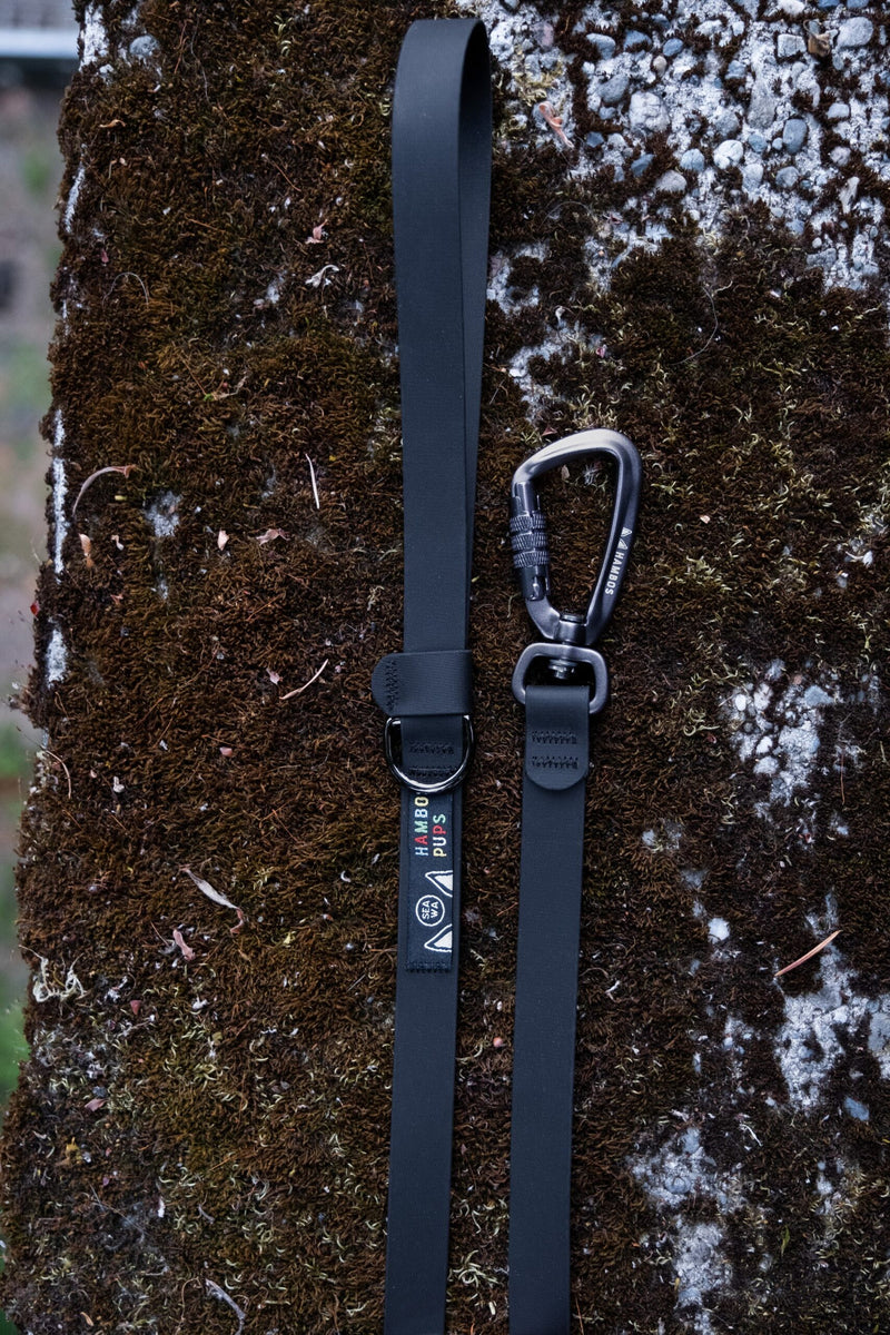 Coal Biothane leash with auto-locking carabiner on a mossy rock