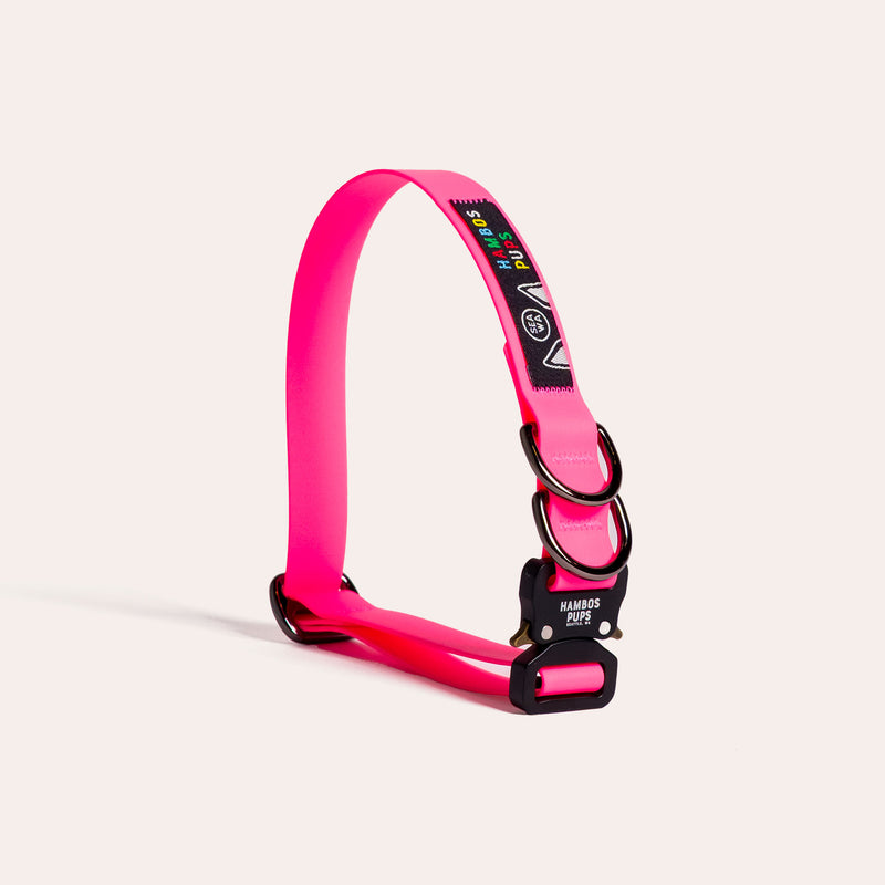 PNW Dry Collar in Max Pink with the all-metal buckle, studio shot