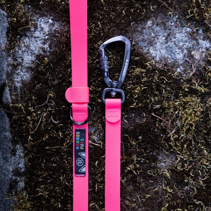 Max Pink Biothane leash with auto-locking carabiner on a mossy rock
