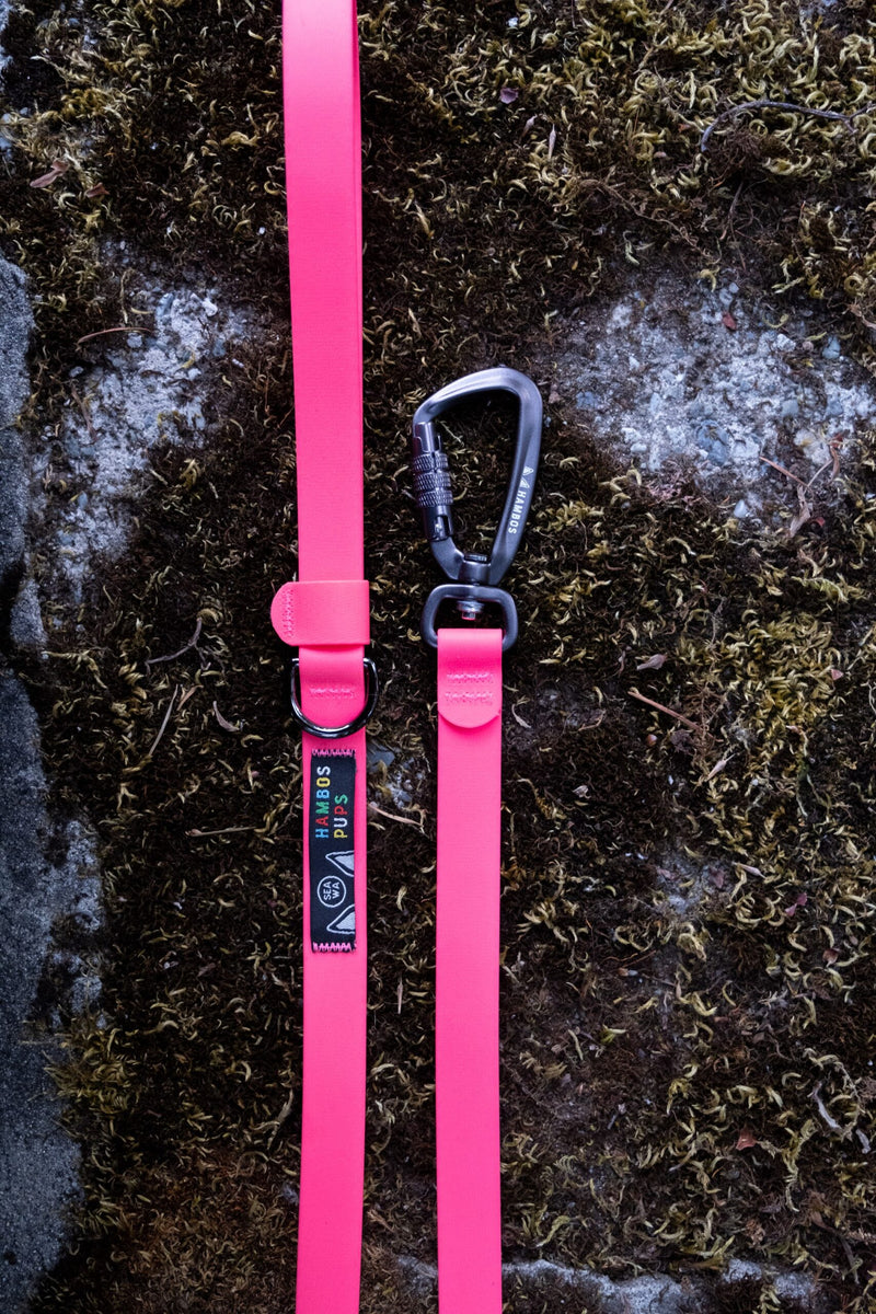 Max Pink Biothane leash with auto-locking carabiner on a mossy rock