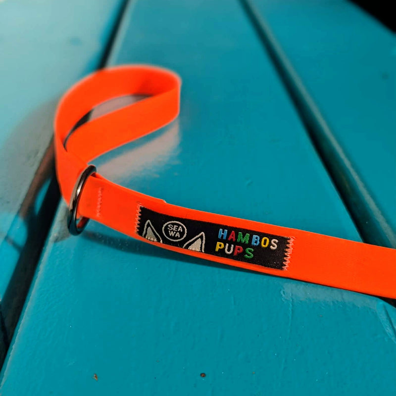 Hunter Orange leash handle with the Hambos Pups label on a teal bench