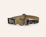 toast-collar---v2