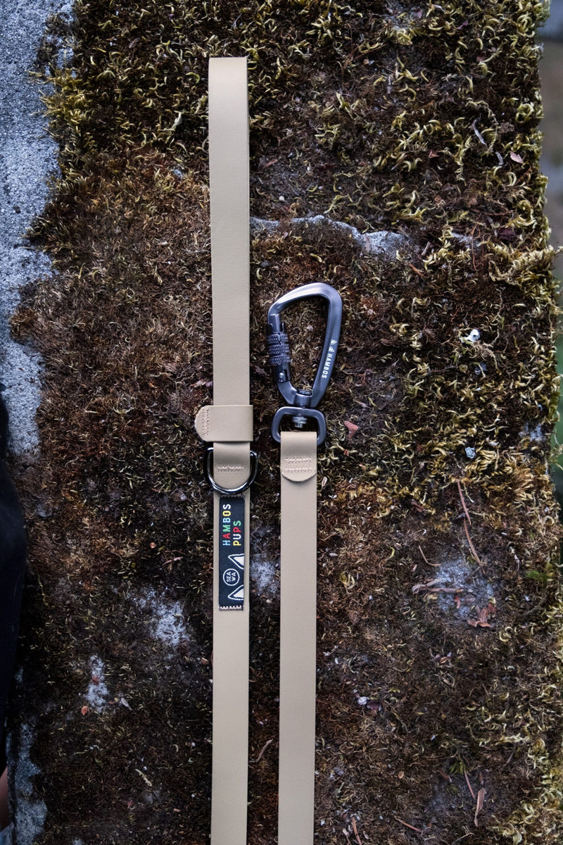 Toast Biothane leash with auto-locking carabiner on a mossy rock