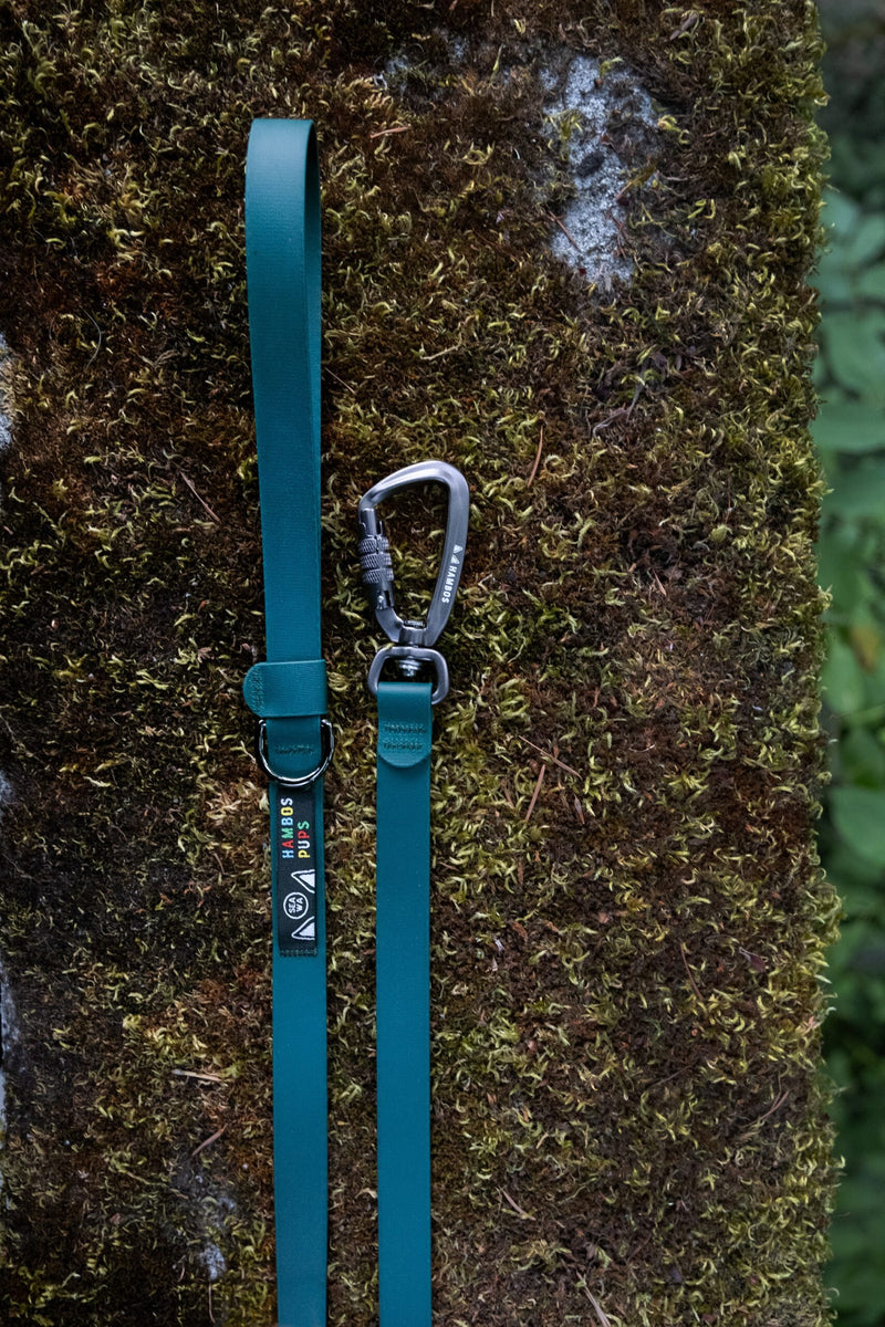 Water Moss Biothane leash with auto-locking carabiner on a mossy rock