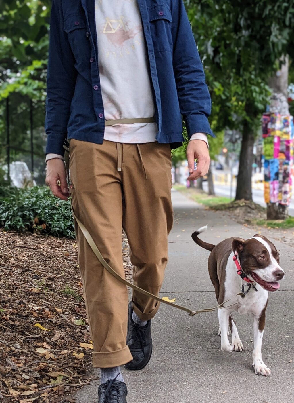 Hands Free 3-in-1 leash