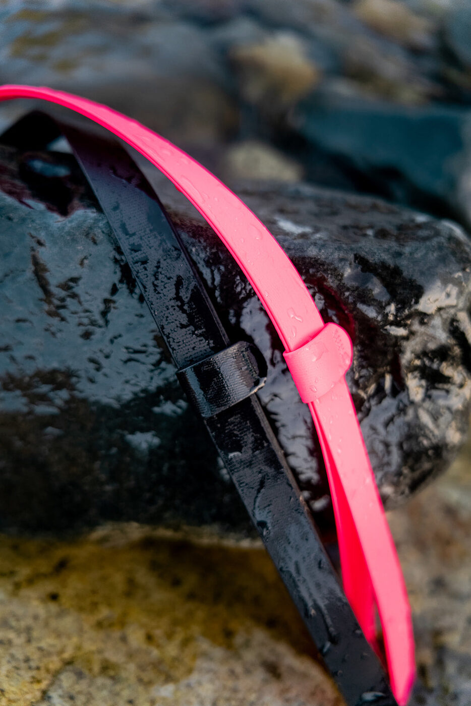 A pink Biothane leash on a wet rock
